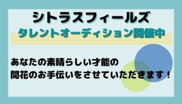 ユマニテ所属オーディション オーディション情報メディア バックステージ