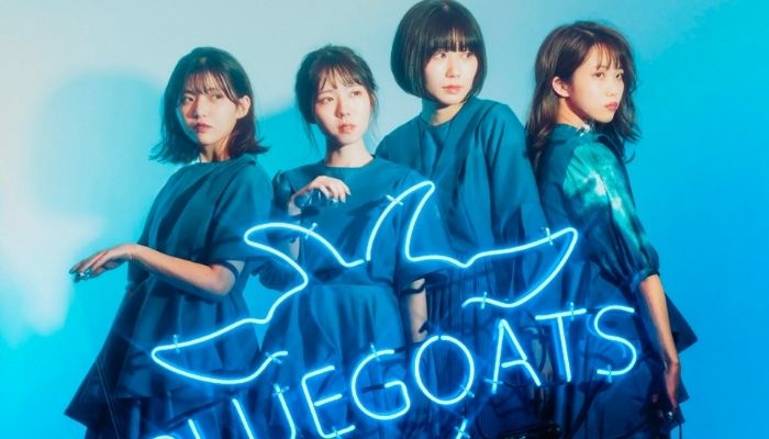 3年で横浜アリーナを目指す！BLUEGOATSの新メンバーを募集中です！！